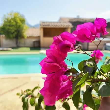 2 Hebergements - 10 Couchages - Parking, Piscine, Jacuzzi - Convivialite ロクブリューヌ・シュル・アルジャン エクステリア 写真