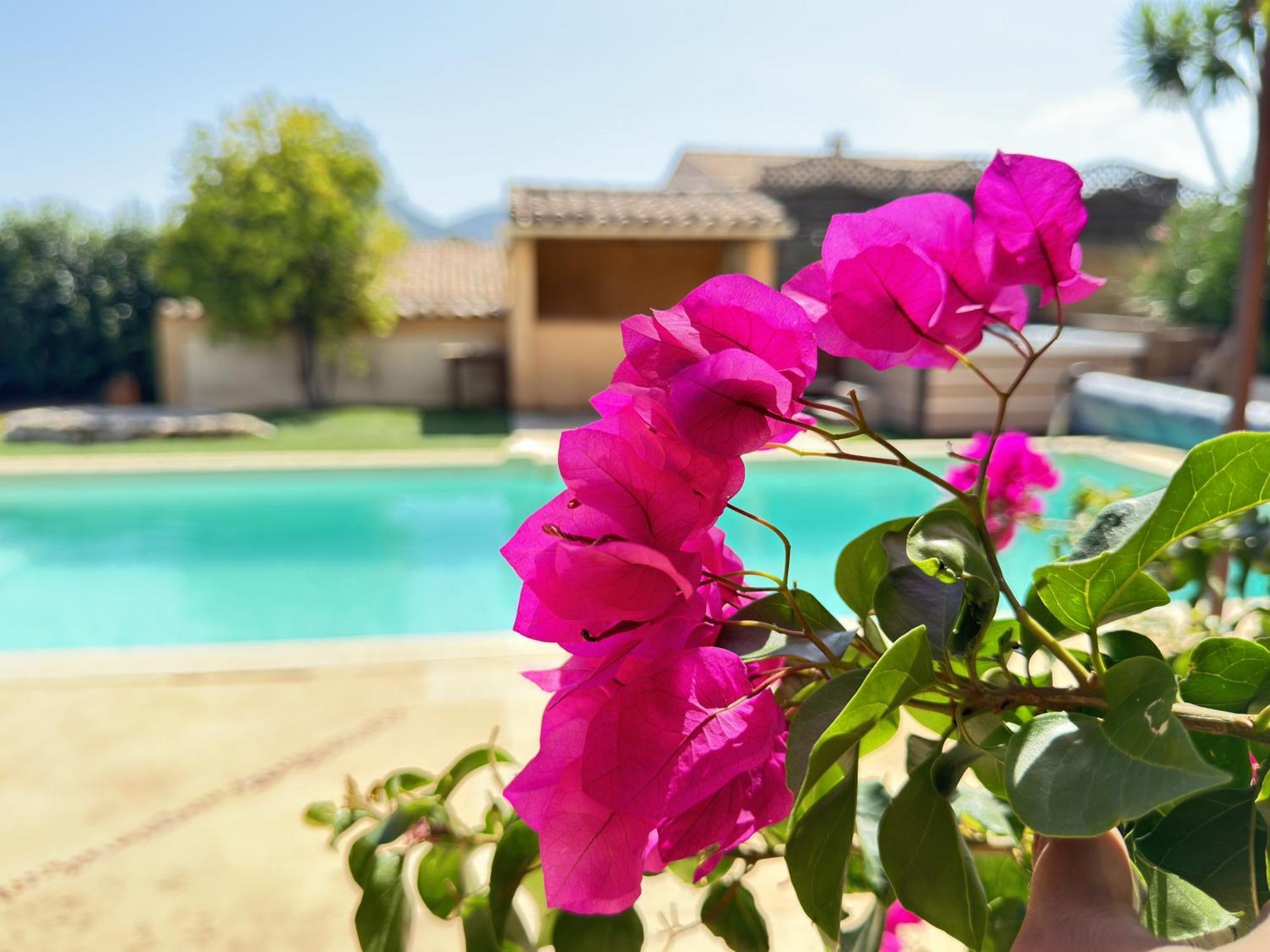 2 Hebergements - 10 Couchages - Parking, Piscine, Jacuzzi - Convivialite ロクブリューヌ・シュル・アルジャン エクステリア 写真